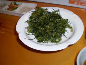 6fad24c0.jpg