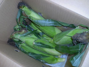 aa1fa012.jpg