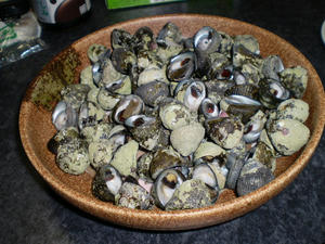 0e73ef83.JPG