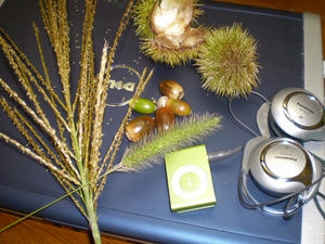 P9280550.JPG