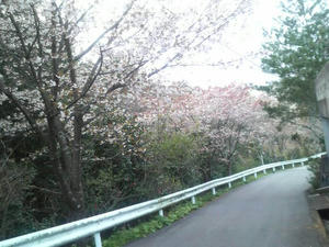 c3977030.jpg