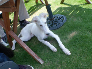 c766fd21.jpg
