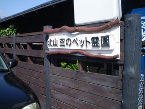 PA181061.JPG