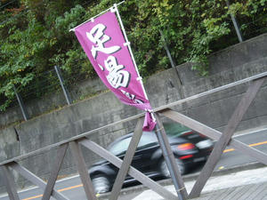 PA251108.JPG