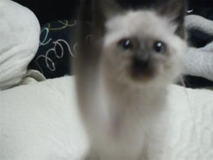 2009112923080000.jpg