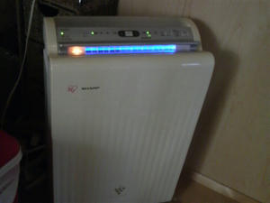 336d383d.jpg