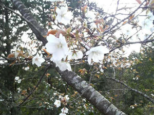 P1000008.JPG
