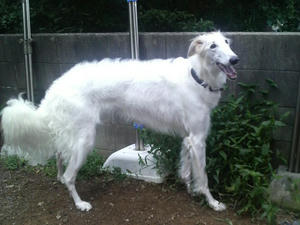 2010063018510000.jpg
