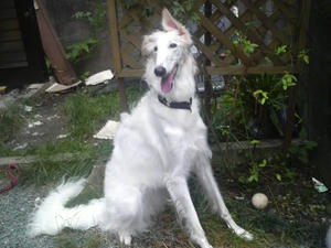 2010063018540000.jpg