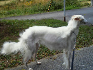 2010103007000000.jpg