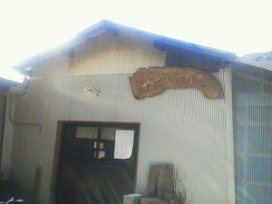 NEC_0008.JPG