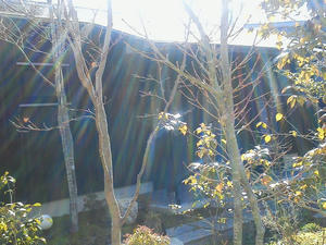NEC_0021.JPG