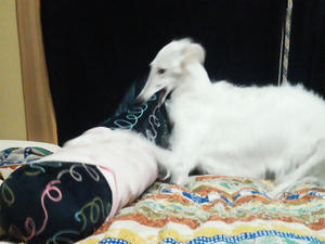2011052613540002.jpg