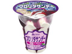 赤城 フロリダサンデー ブルーベリー
