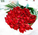 d51051de.jpg