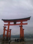 torii.jpg