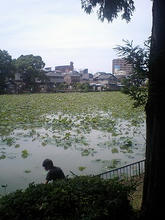 momogaike01.jpg