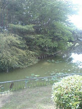 momogaike03.jpg