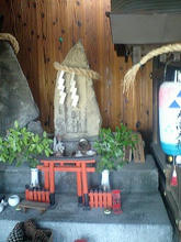 momogaike08.jpg
