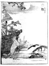 tanuki.jpg