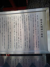 enoki3.jpg