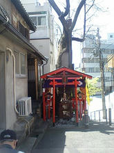 enoki4.jpg