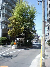 tanimachi7-2.jpg