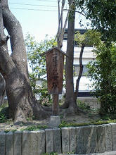 nozatosumiyoshi3.jpg