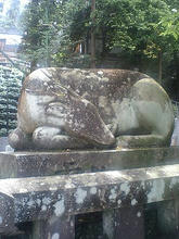 Hiraoka03.jpg