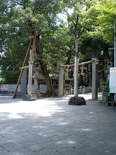Hiraoka15.jpg