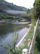 urushigabuchi3.jpg