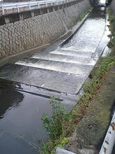 s-Fukuragawa09.jpg