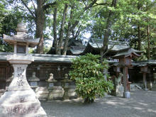 Sakuraijinjya08.jpg