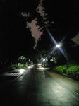 CA390394.JPG
