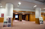 135KKM_4881.jpg