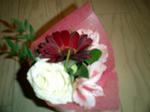 flw-071116.JPG