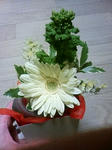 菜の花