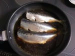 鰯