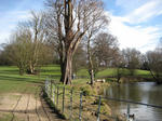 hampstead_heath4.jpg