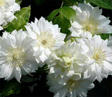 blogimg_kure25-patensu18.jpg