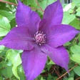 blogimg_4007.jpg