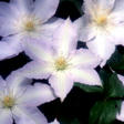 blogimg_epw101_000553_1main.jpg