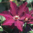 blogimg_img56196789.jpg