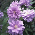 blogimg_img56193782.jpg