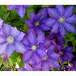 blogimg_39553.jpg