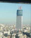 2009111506.JPG