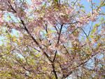 07.03.21.jpg
