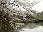 07.04.01.1.jpg