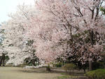 07.04.05.jpg