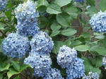07.07.03.jpg